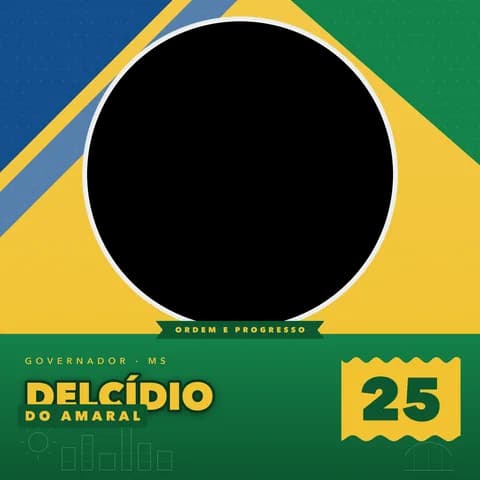 Delcídio do Amaral Moldura Metade 3
