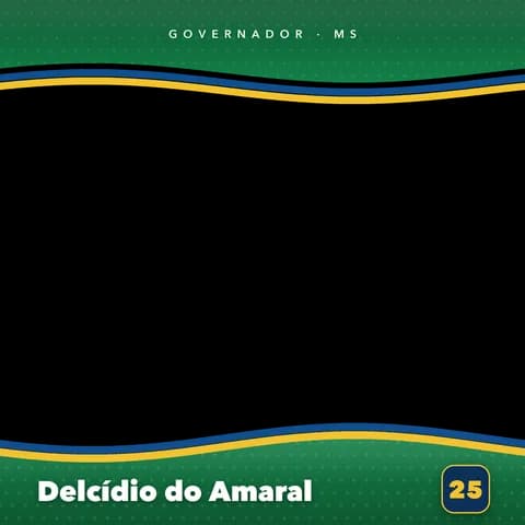 Delcídio do Amaral Moldura Cheia 1