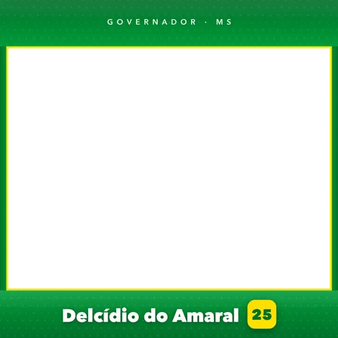 Delcídio do Amaral Moldura Cheia 12