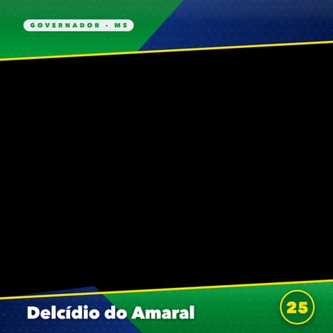 Delcídio do Amaral Moldura Cheia 11