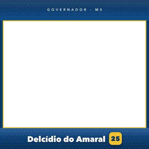 Delcídio do Amaral Moldura Cheia 4