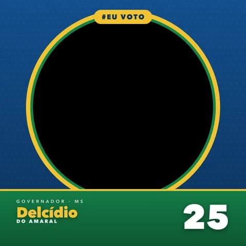 Delcídio do Amaral Moldura Metade 1