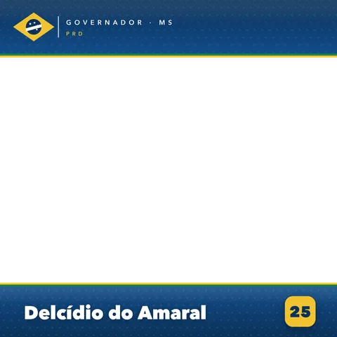 Delcídio do Amaral Moldura Cheia 6