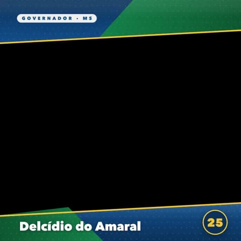 Delcídio do Amaral Moldura Cheia 3