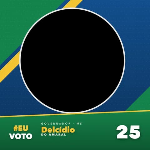 Delcídio do Amaral Moldura Metade 2