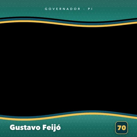 Gustavo Feijó Moldura Cheia 1