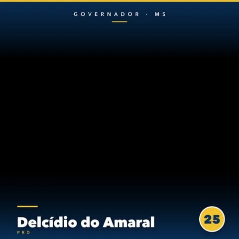 Delcídio do Amaral Moldura Cheia 8