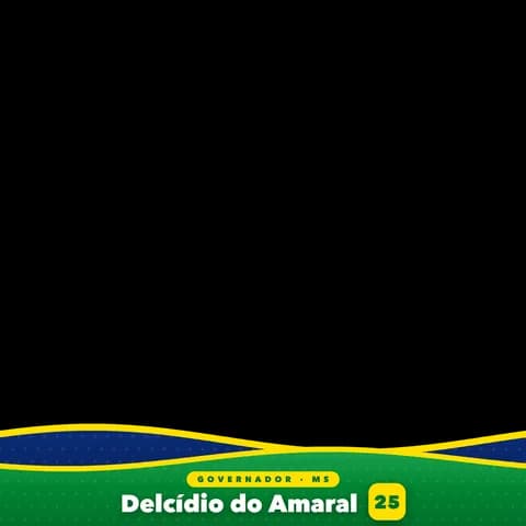 Delcídio do Amaral Moldura 7
