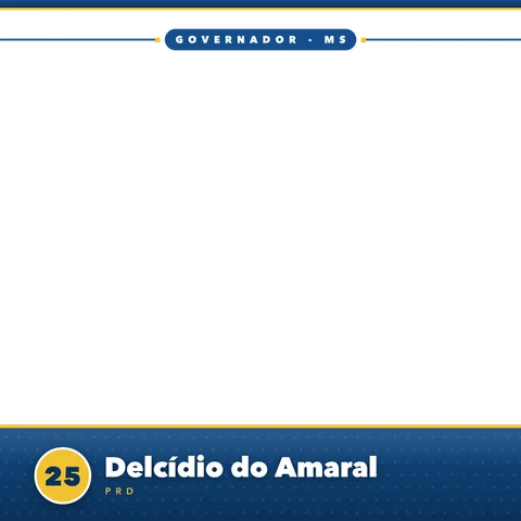 Delcídio do Amaral Moldura Cheia 7