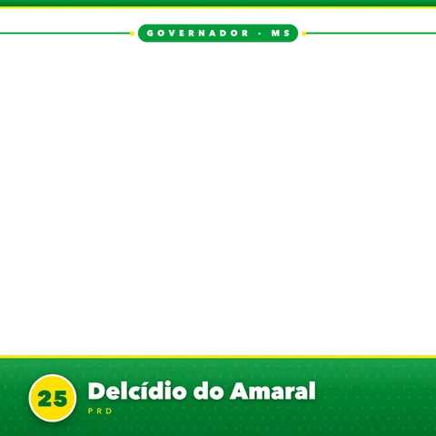 Delcídio do Amaral Moldura Cheia 15