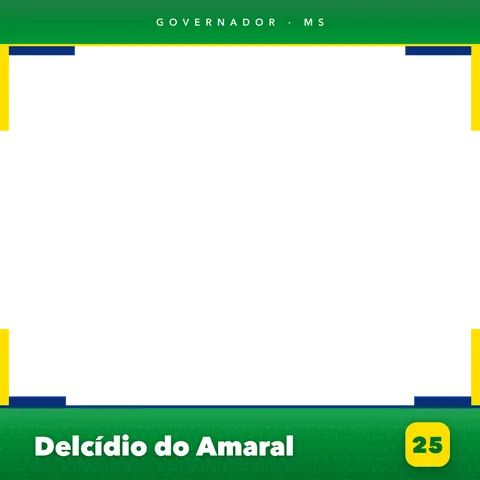 Delcídio do Amaral Moldura Cheia 13