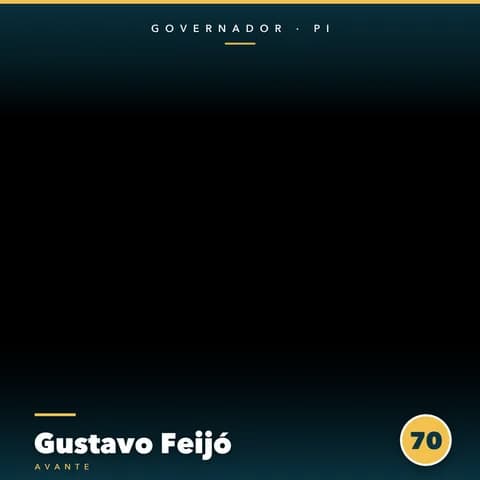 Gustavo Feijó Moldura Cheia 8