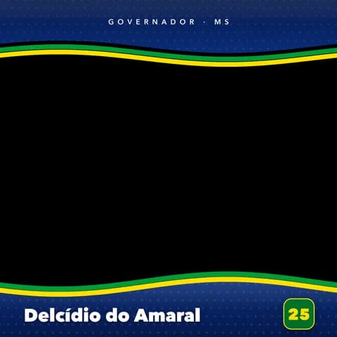 Delcídio do Amaral Moldura Cheia 9