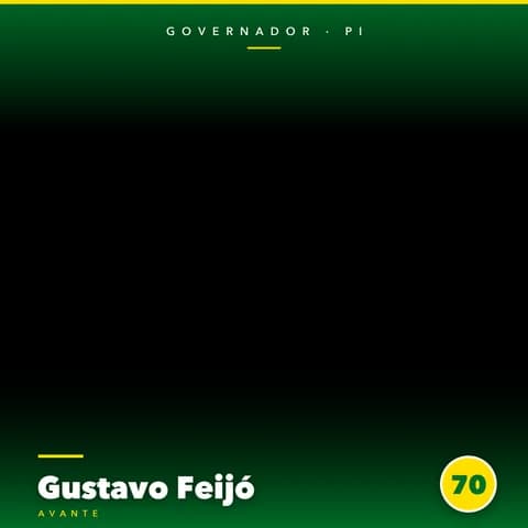 Gustavo Feijó Moldura Cheia 16